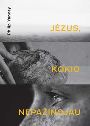 Knyga Jėzus kokio nepažinojau