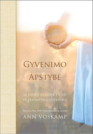 Ann Voskamp Gyvenimo apstybė